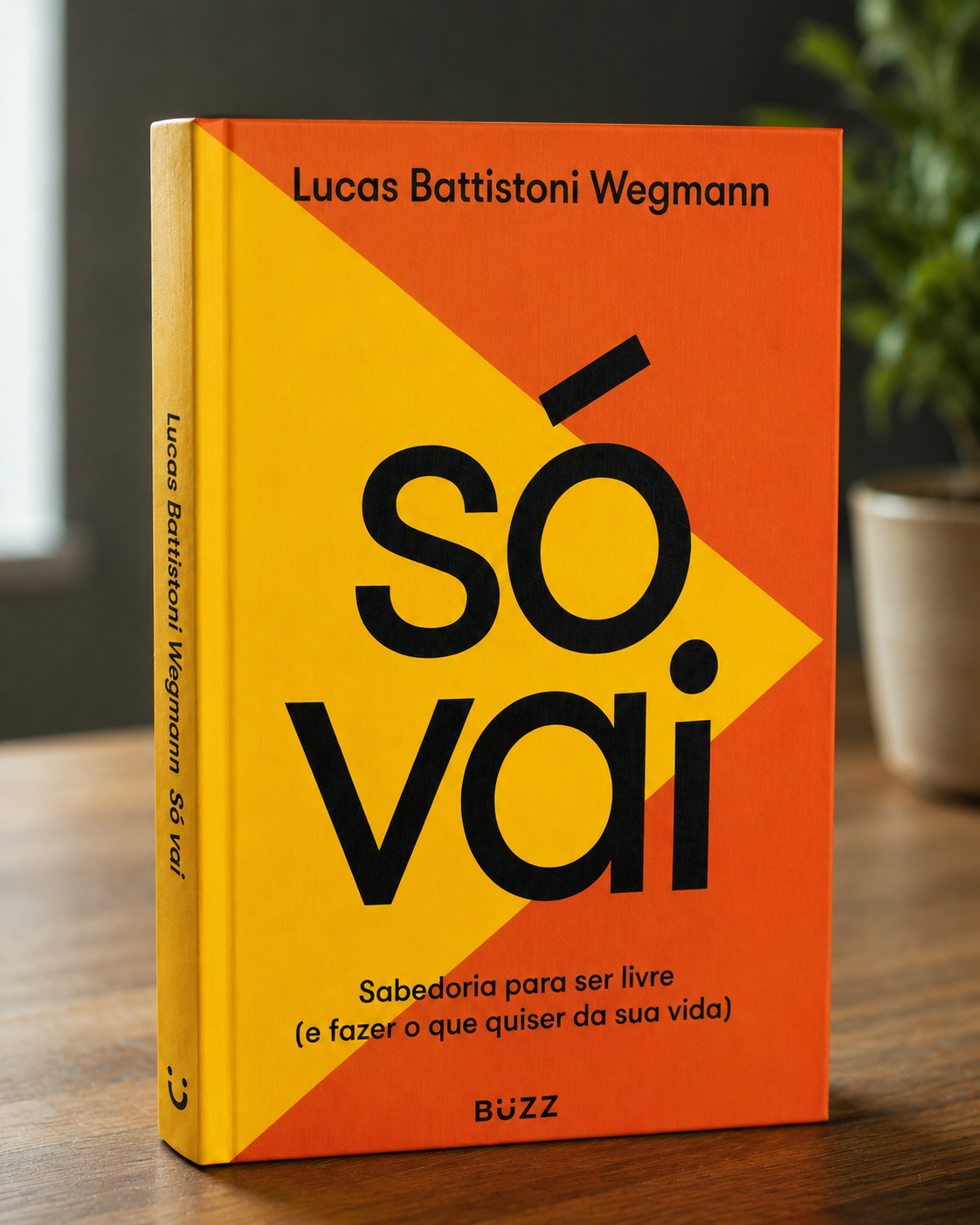 Capa do livro Só Vai: sabedoria para ser livre